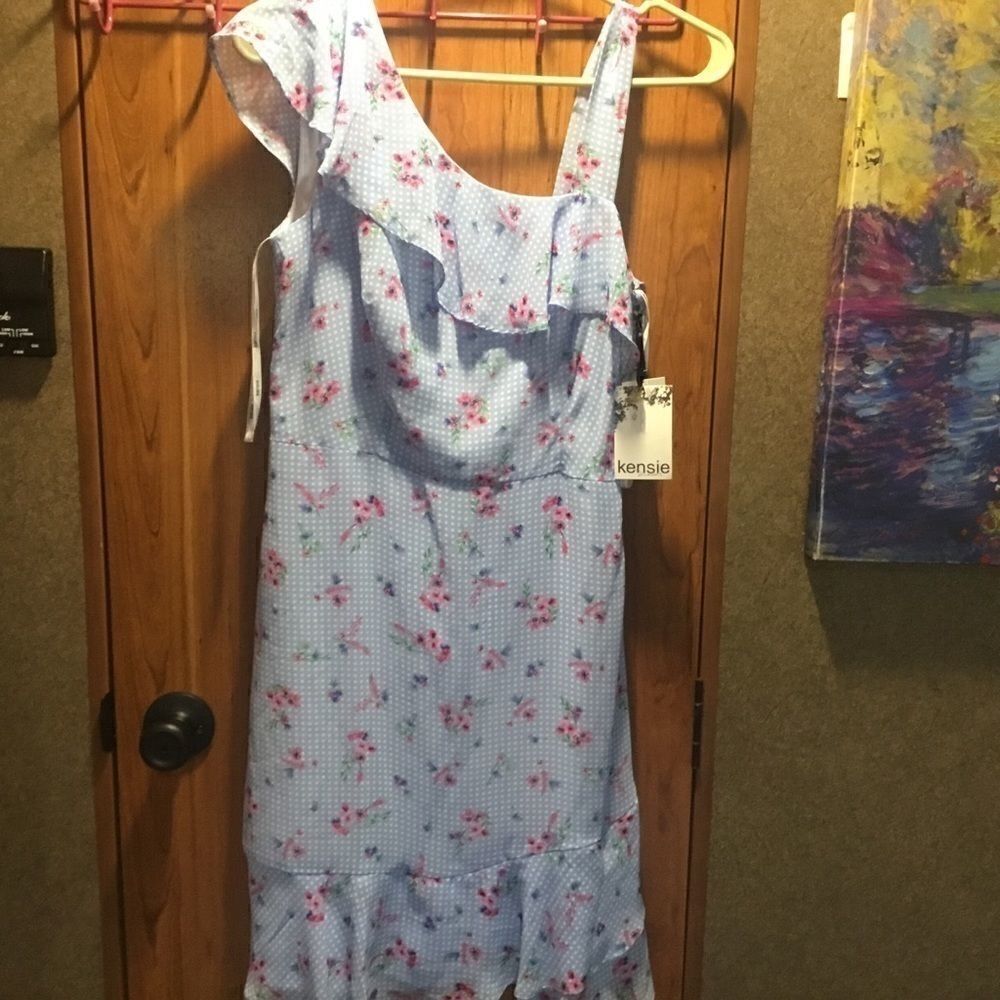 NWT. Kensie  Sz 4 One-Shoulder Dress Blue Floral